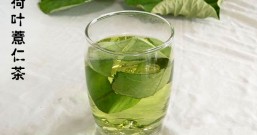 痘痘冒不停、脸上油腻腻,湿热体质就像体内做桑拿,多喝荷叶薏仁茶祛湿除热